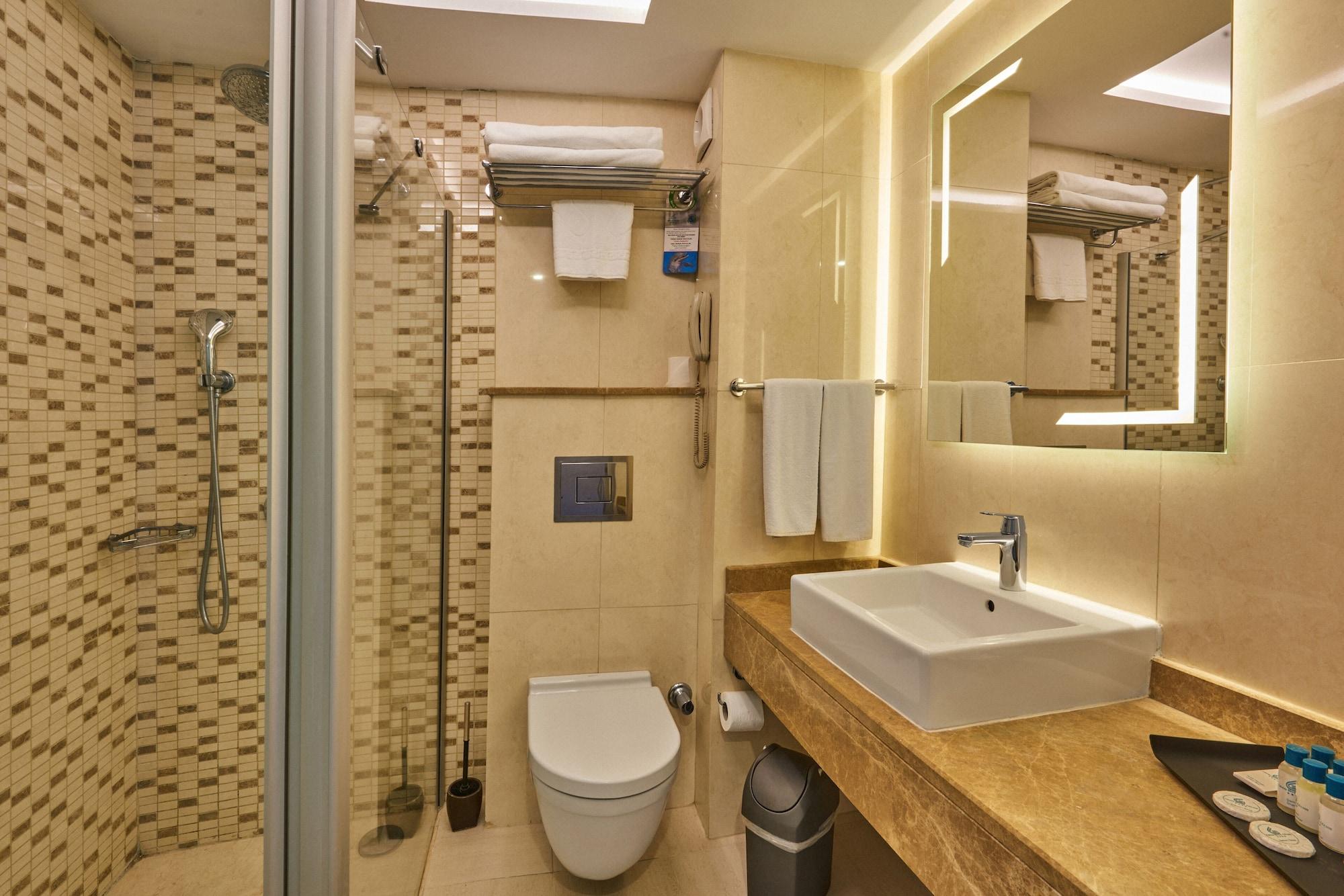 Grand Gulsoy Old 4* Provincia di Istanbul